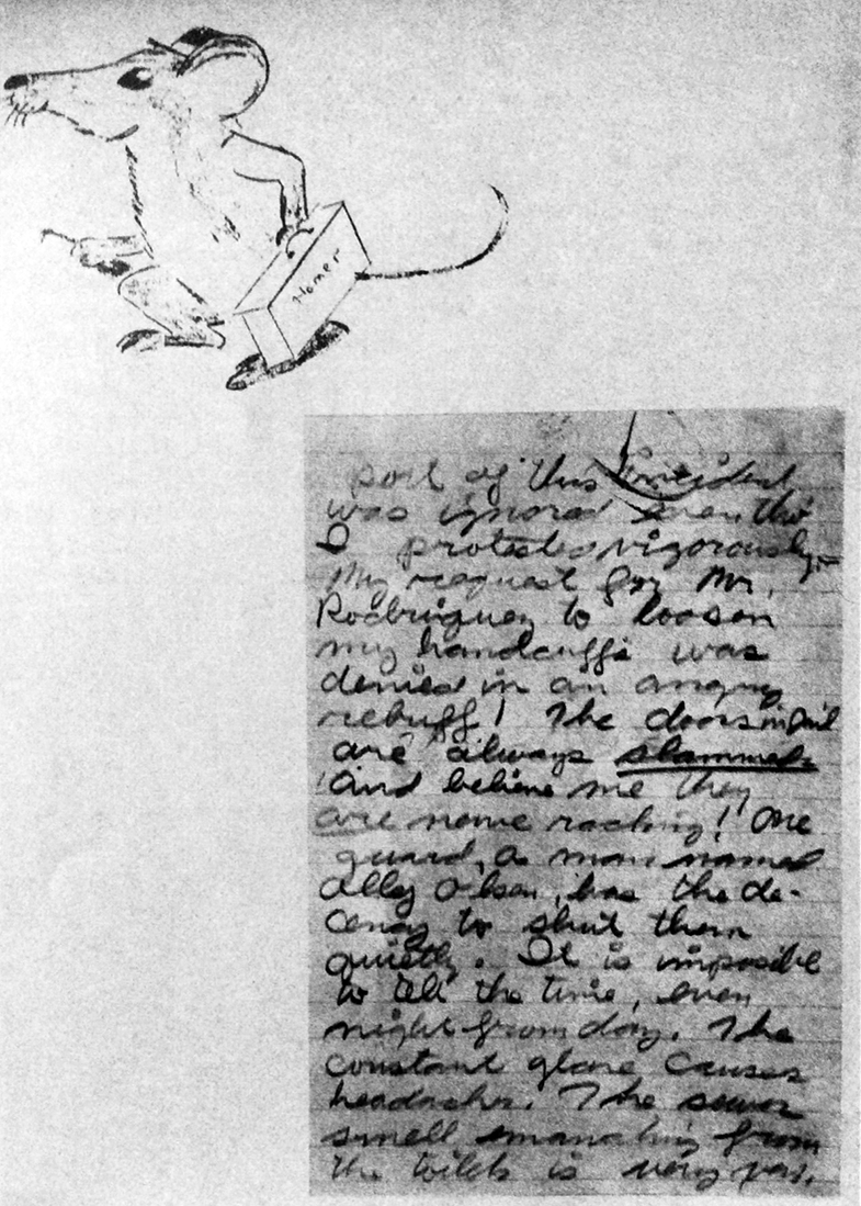 Die Fotos in ‚Tucson, Arizona‘ | Brandl Stories